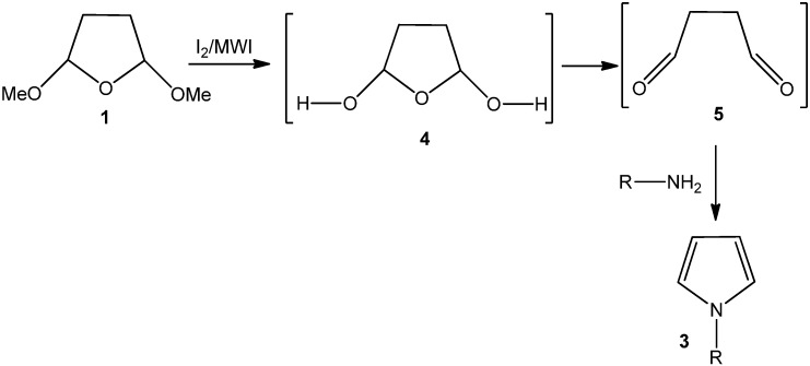 Scheme 2