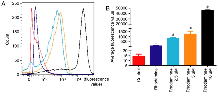 Figure 5