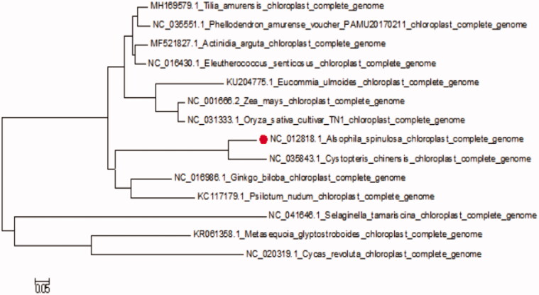 Figure 1.