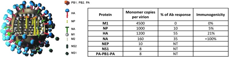 FIG. 1.