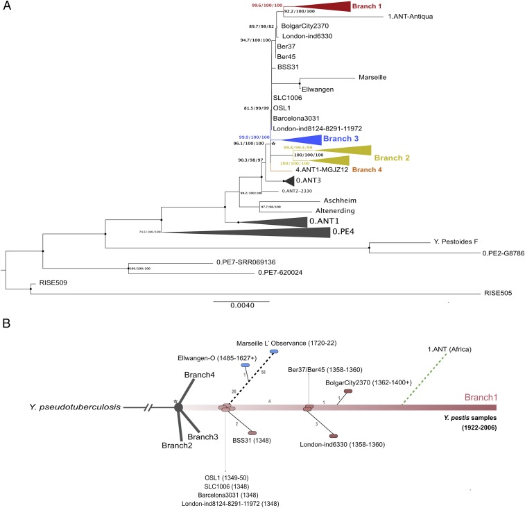 Fig. 3.