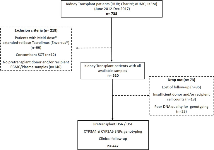 Figure 1