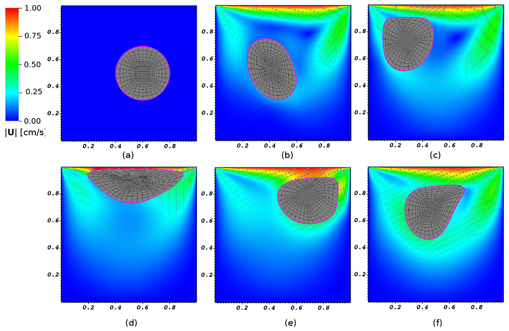 Figure 5: