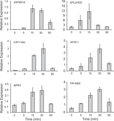 Figure 4