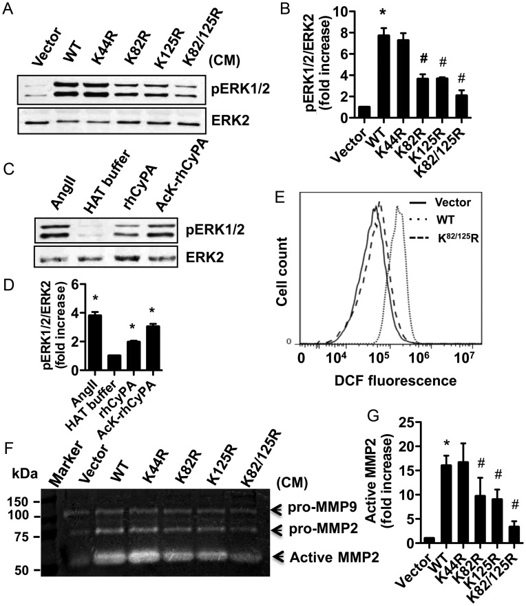 Figure 5