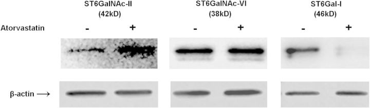 Fig. 6.