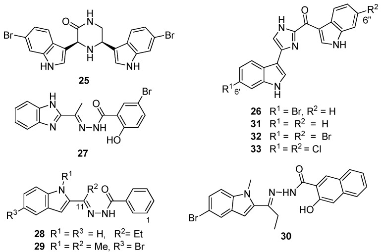 Figure 7