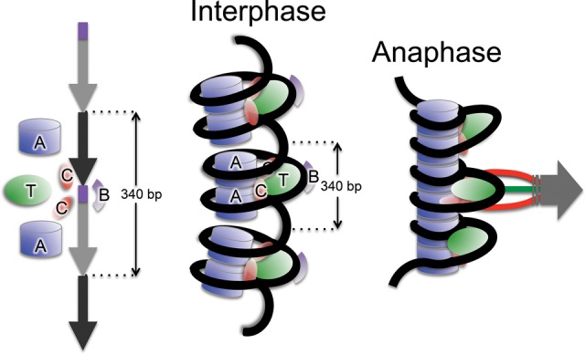 Figure 7.