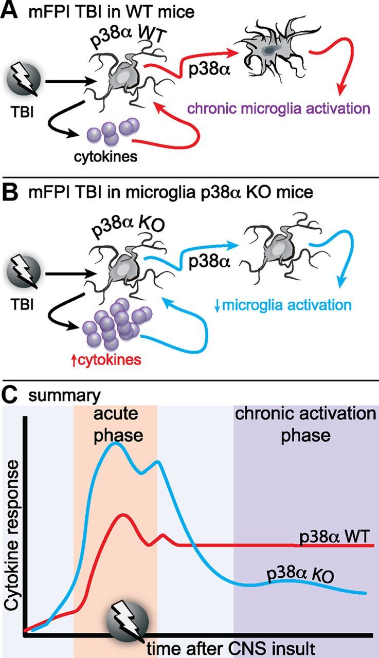 Figure 10.