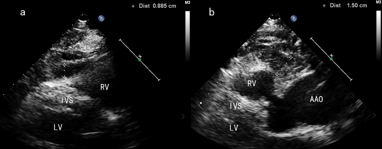 Fig. 1.
