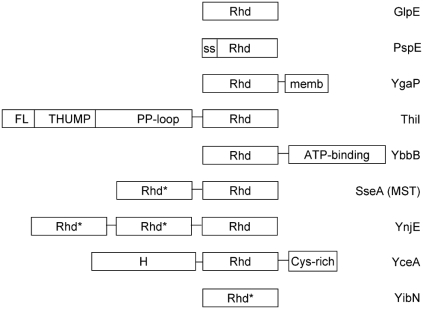 Fig. (6)