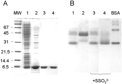 Fig. (3)