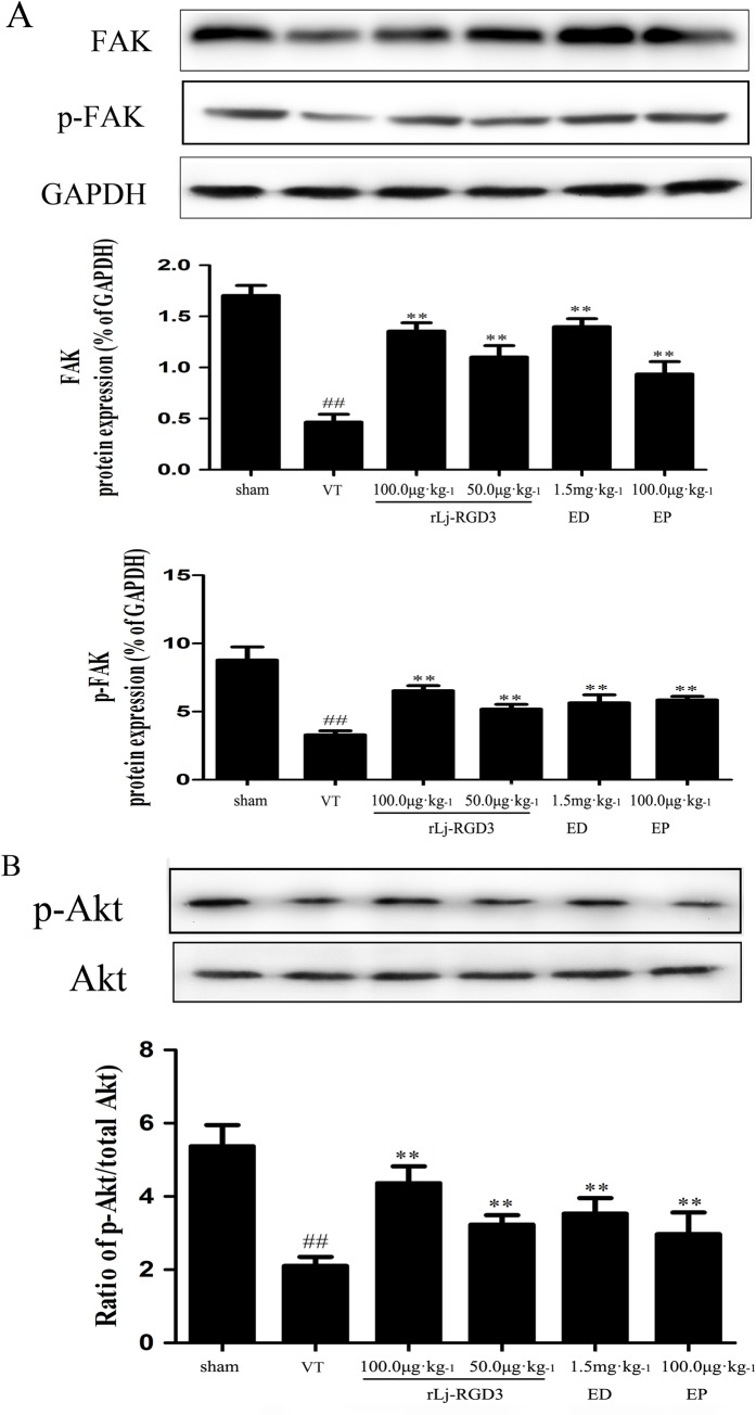 Fig 7