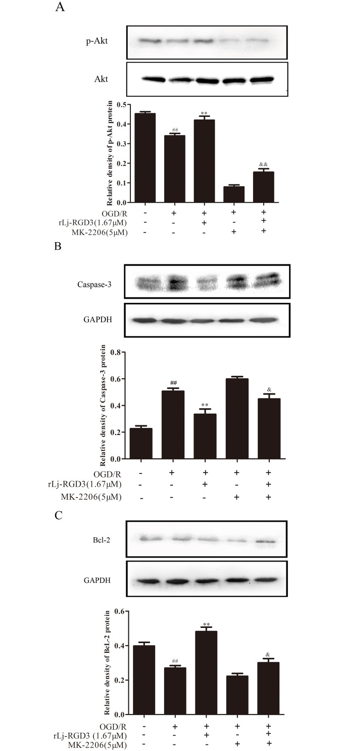 Fig 10