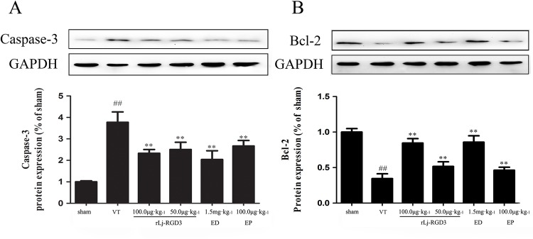 Fig 8