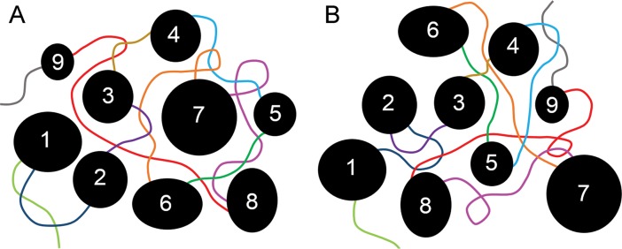 Fig 6