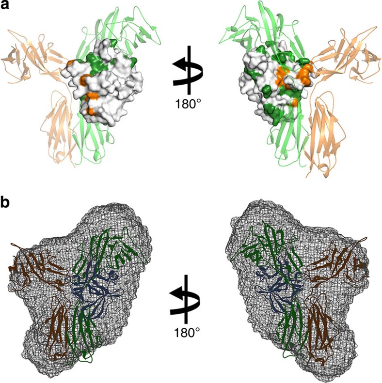 Figure 7