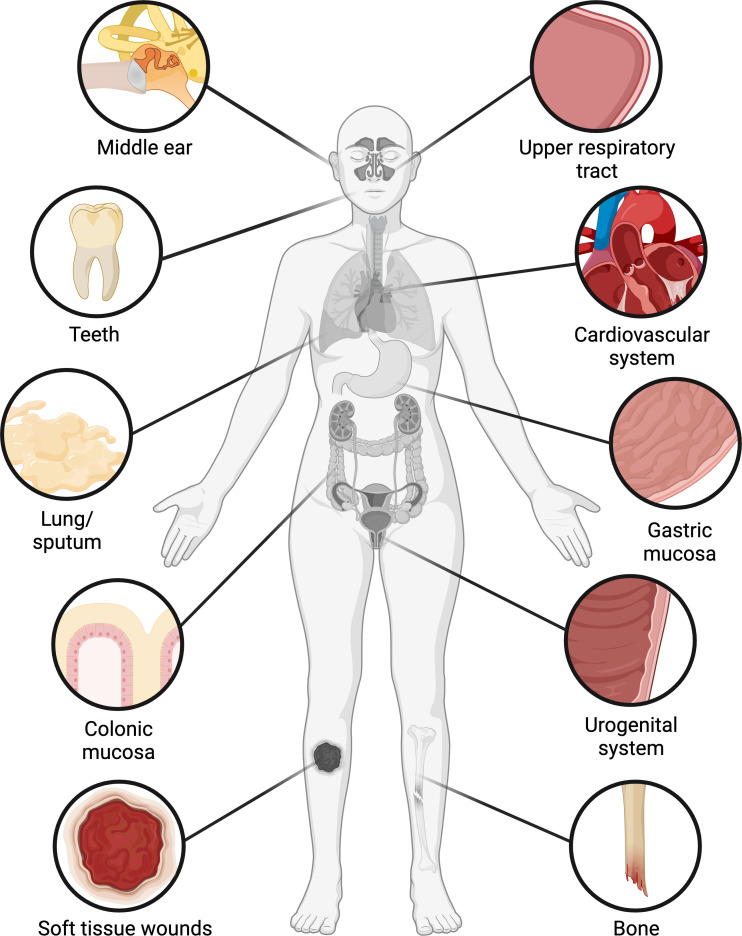 Figure 1