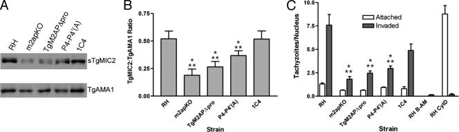 Figure 6.