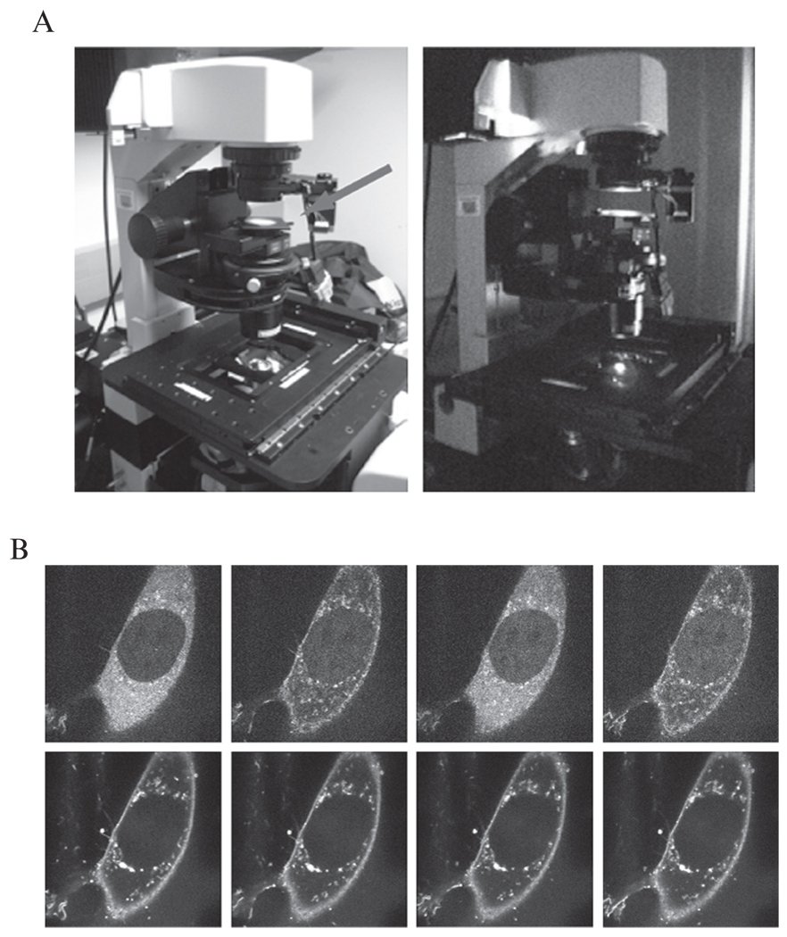 Figure 17.4