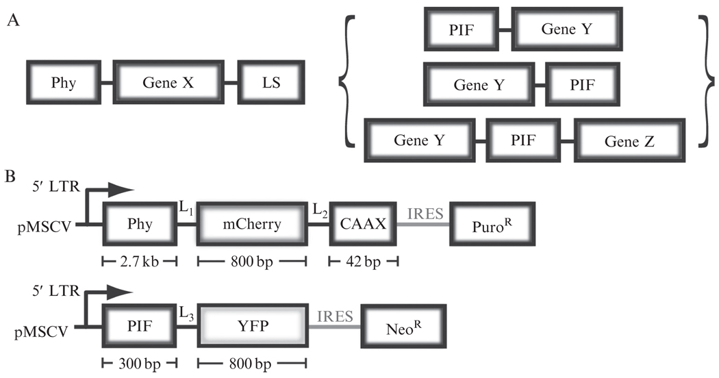 Figure 17.2