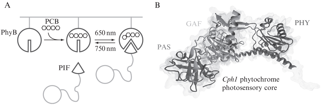 Figure 17.1