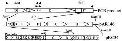 FIG. 4.