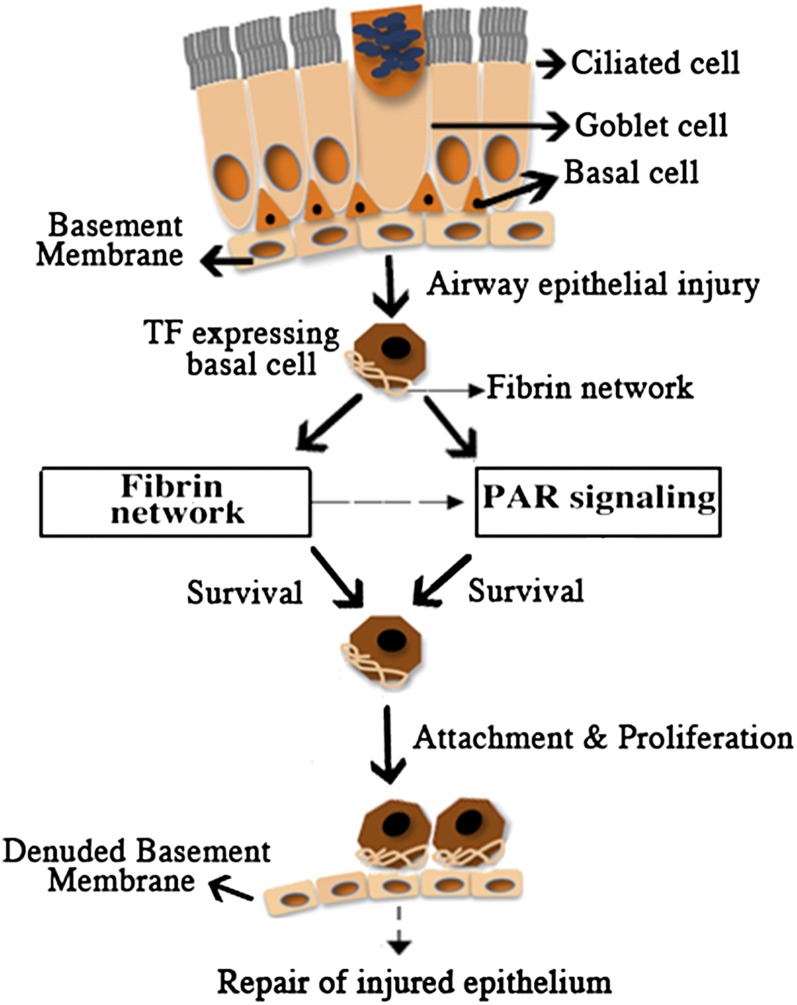 Figure 7.