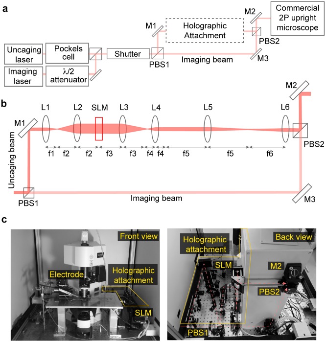 Fig 1