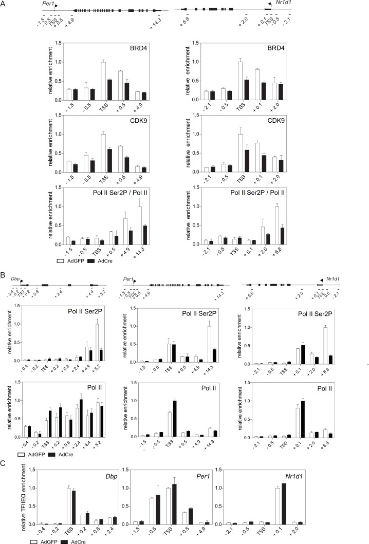 Figure 6—figure supplement 1.