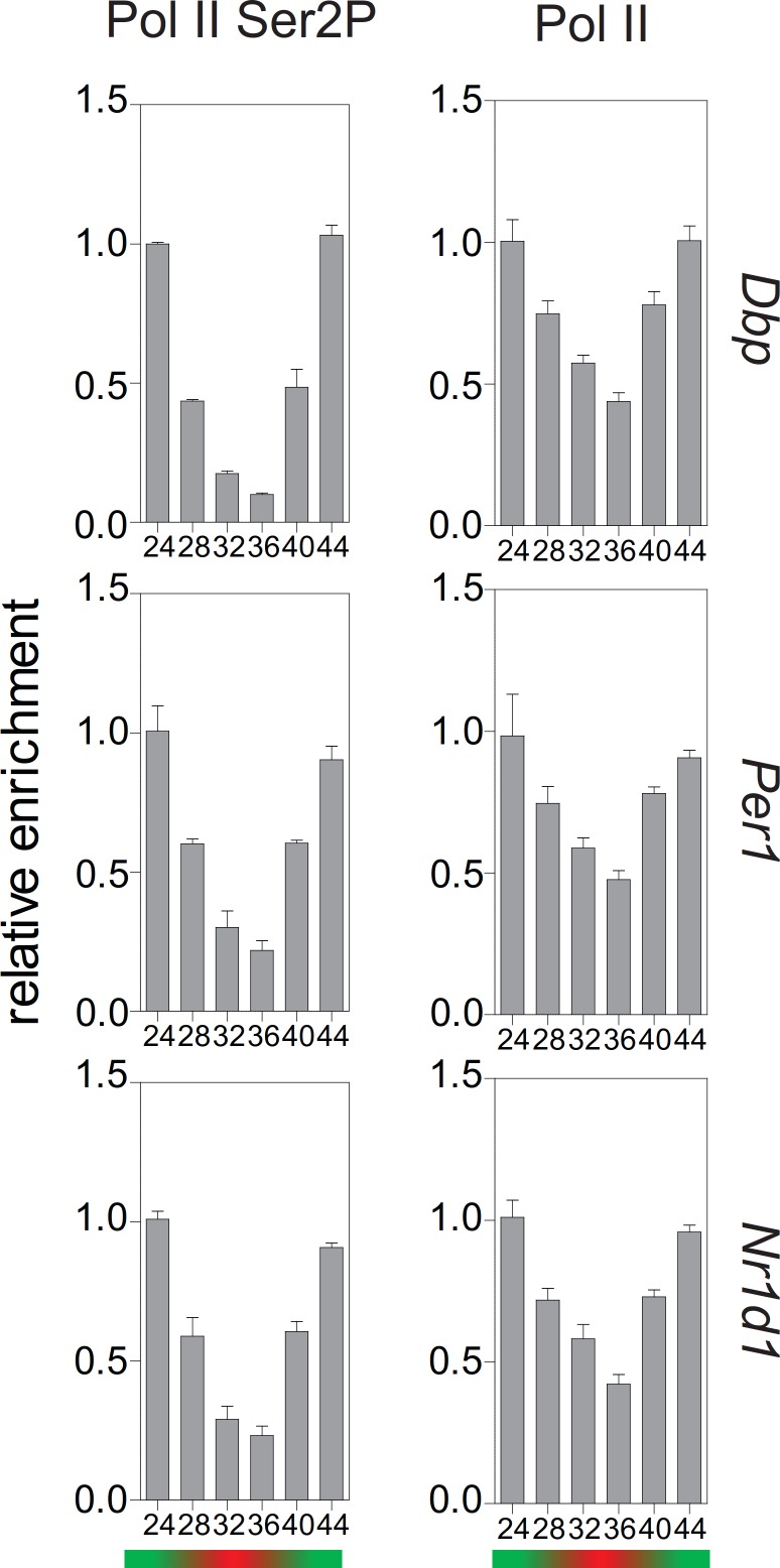 Figure 7—figure supplement 1.