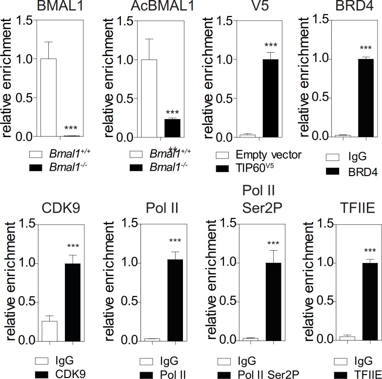 Figure 1—figure supplement 2.