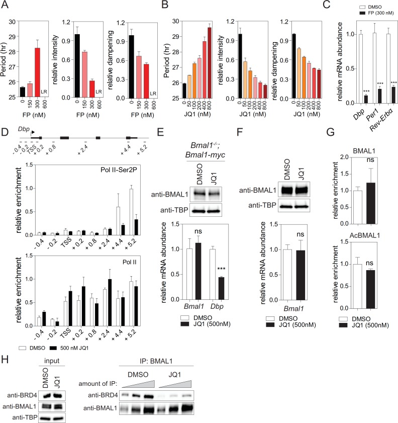 Figure 1—figure supplement 1.