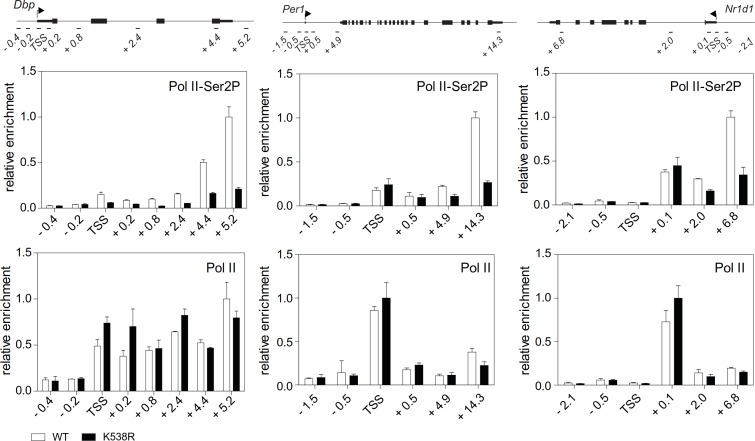 Figure 2—figure supplement 2.