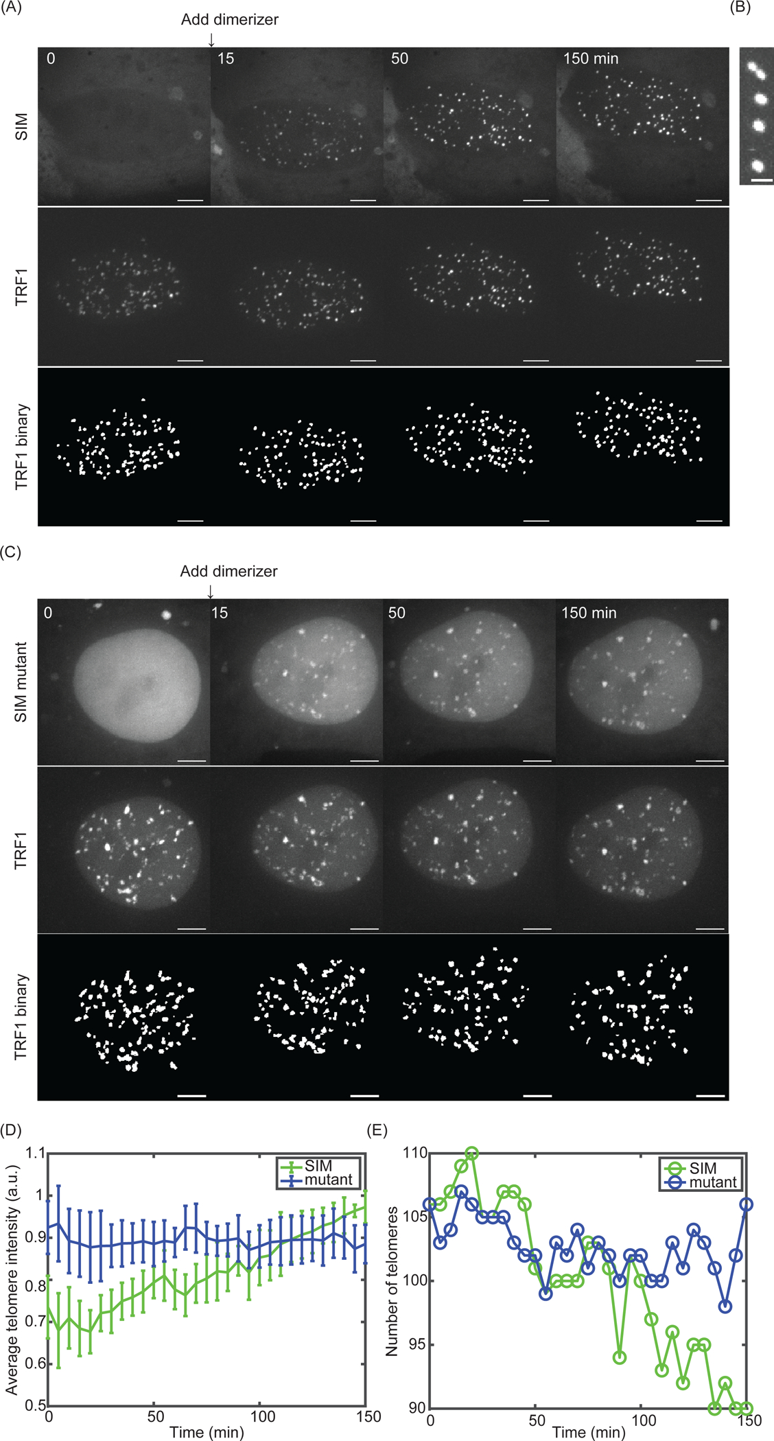 Figure 3: