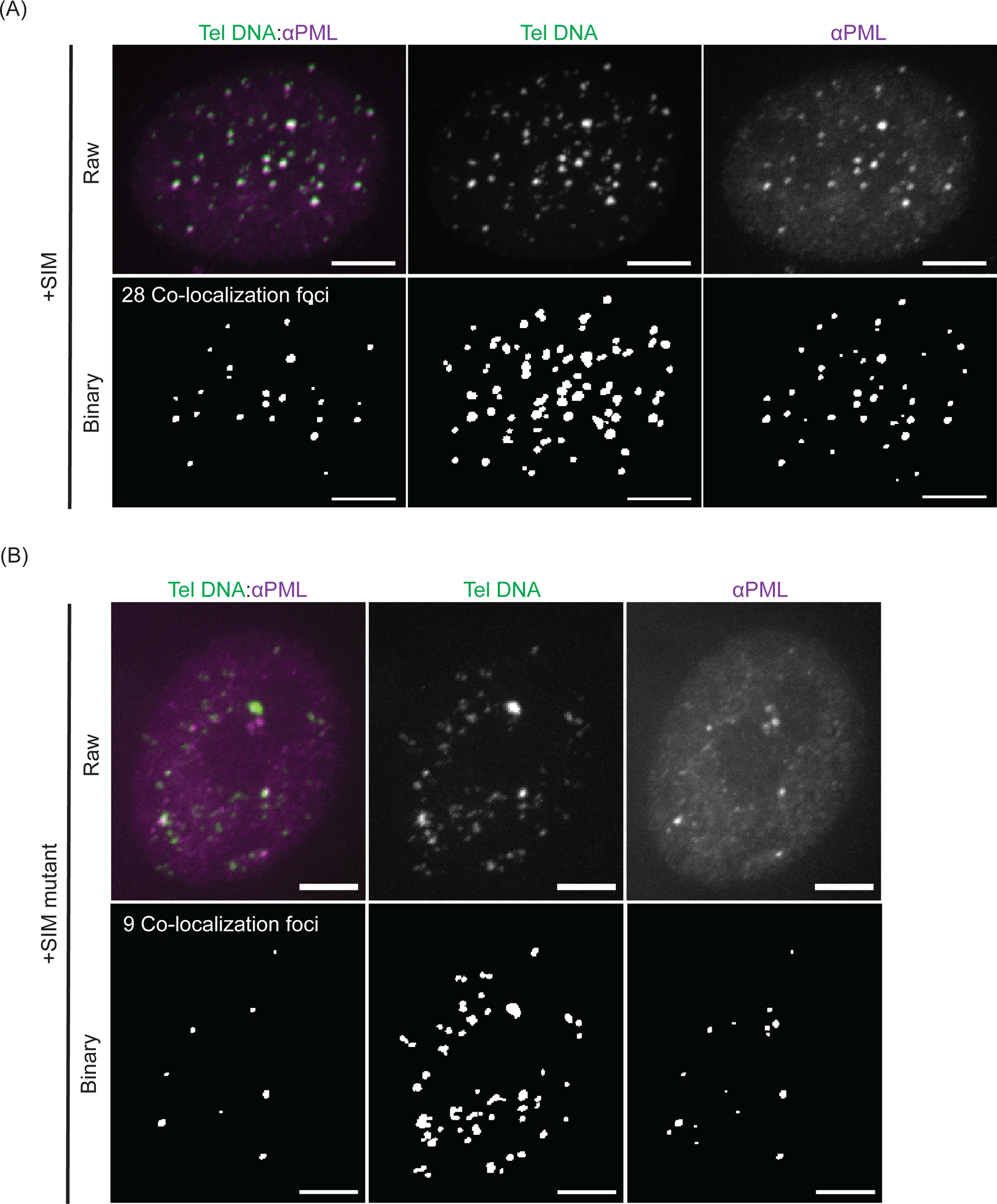 Figure 5: