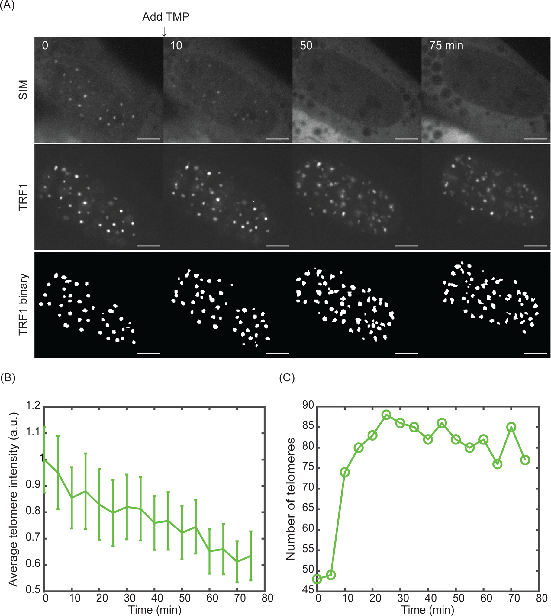 Figure 4: