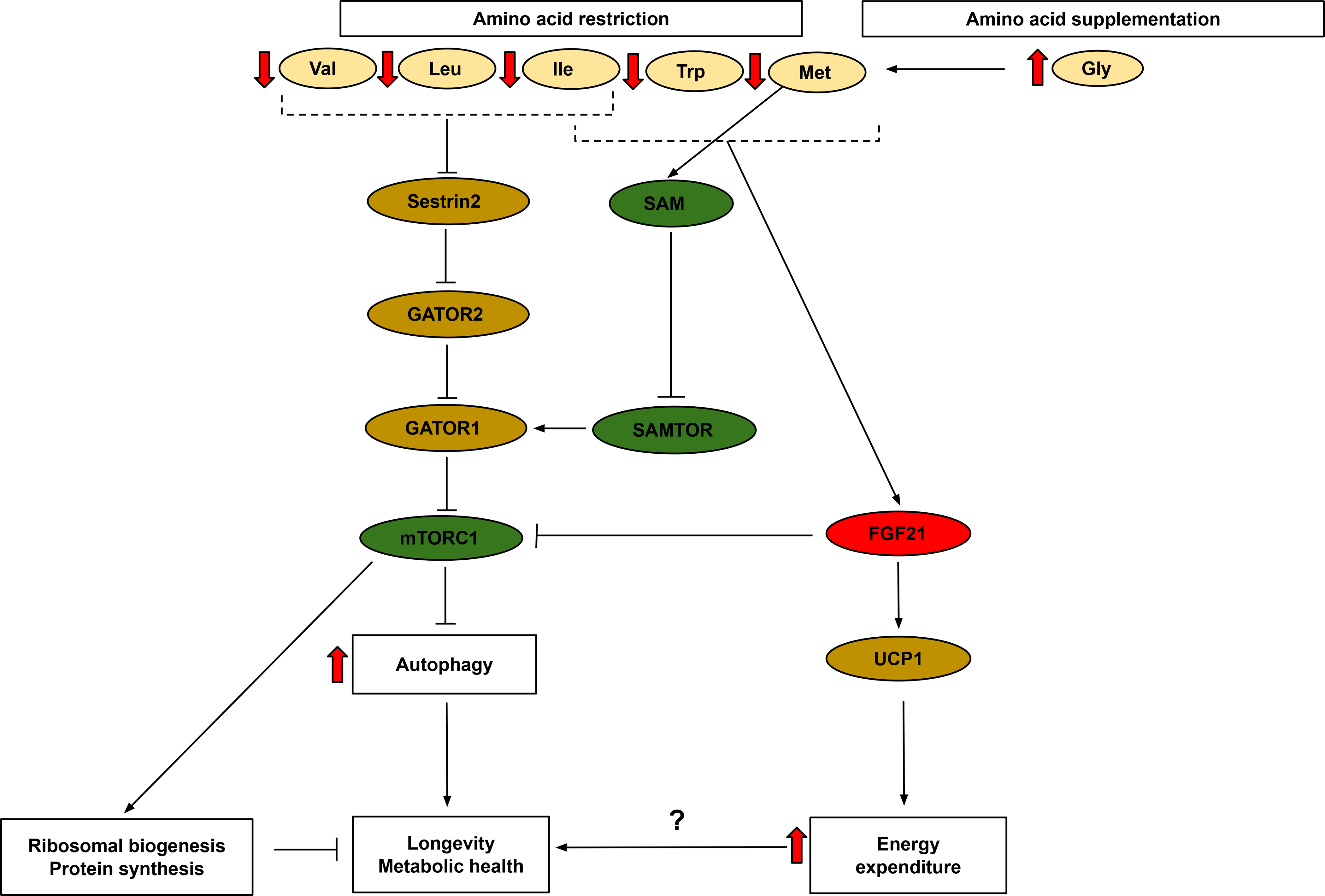 Figure 3: