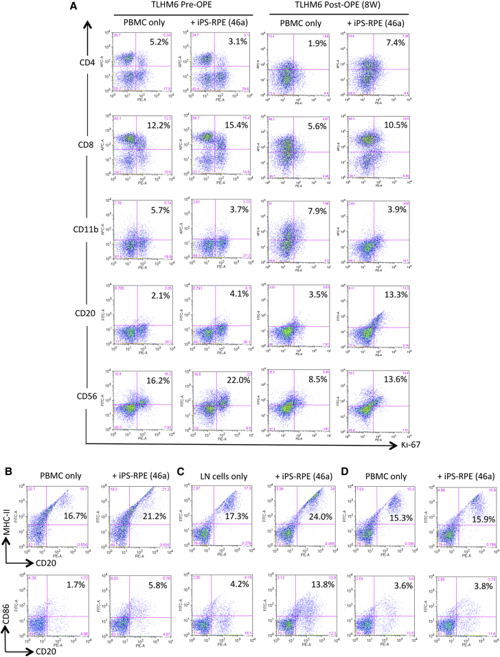 Figure 4