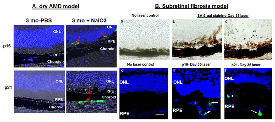 Fig.7.