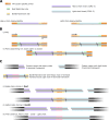Extended Data Figure 21: