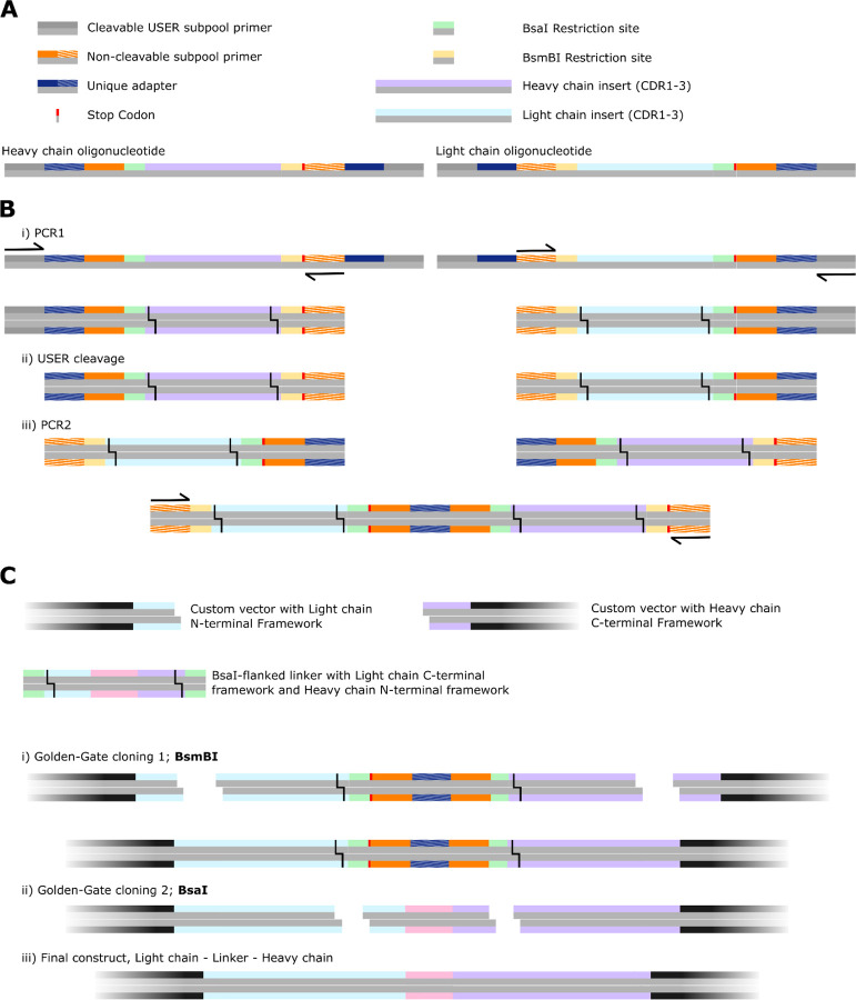 Extended Data Figure 20: