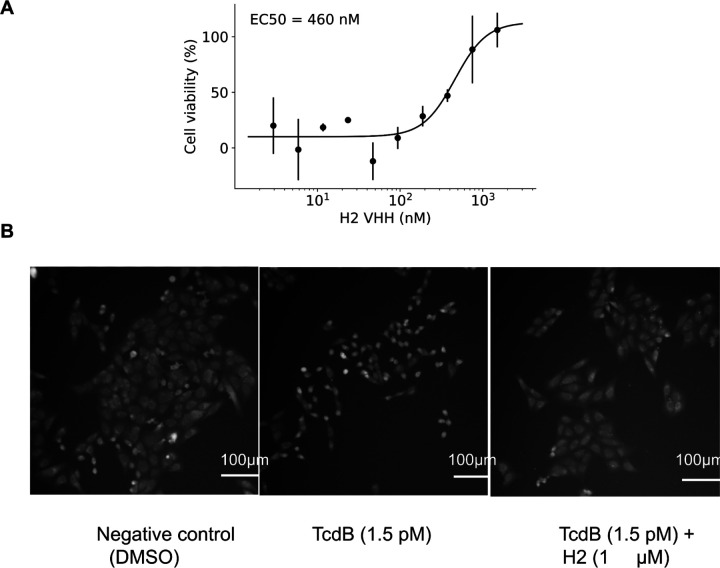 Extended Data Figure 9: