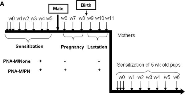 FIG 6