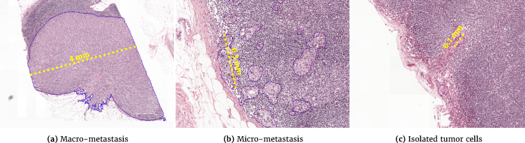 Figure 2: