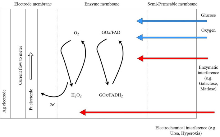 Figure 1