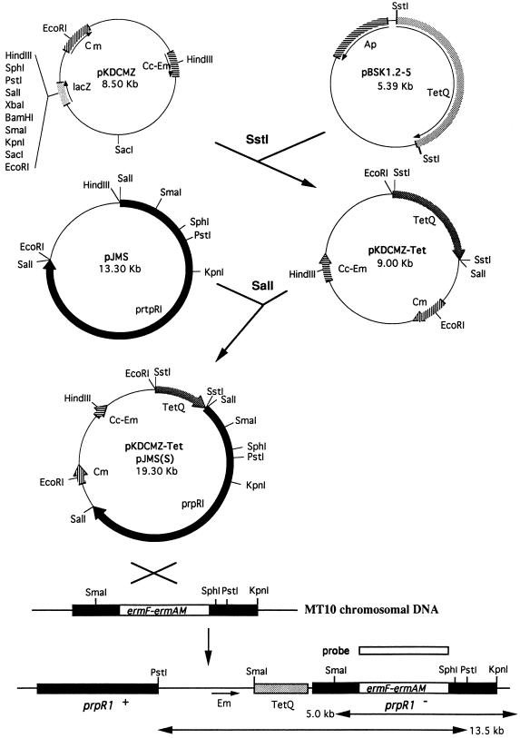 FIG. 6