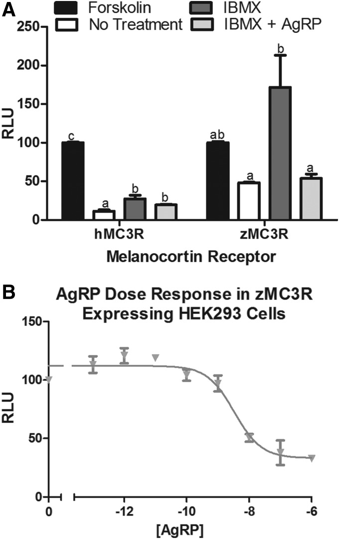 FIG. 6.