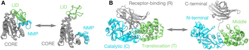 Fig 2