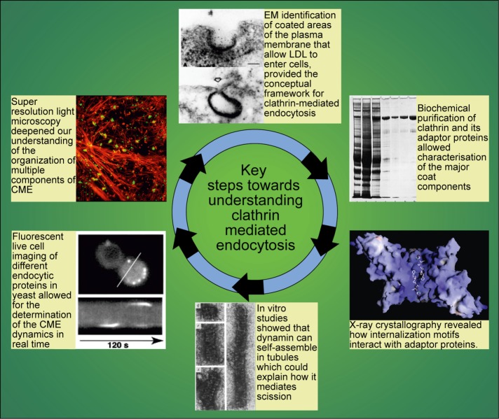 FIGURE 1: